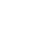 Fiat Revemar